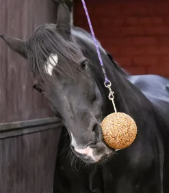 LIKIT Lecksteine></noscript>Müslikugel 1,6 kg