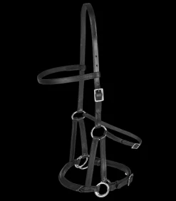 Linda Tellington-Jones Western|Pony & Shetty>Linda Tellington Jones Lindel