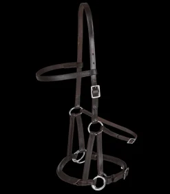 Linda Tellington-Jones Western|Pony & Shetty><noscript><img width=