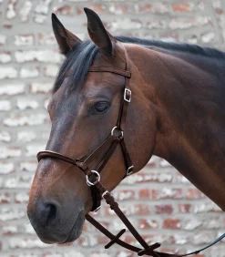 Linda Tellington-Jones Western|Pony & Shetty><noscript><img width=