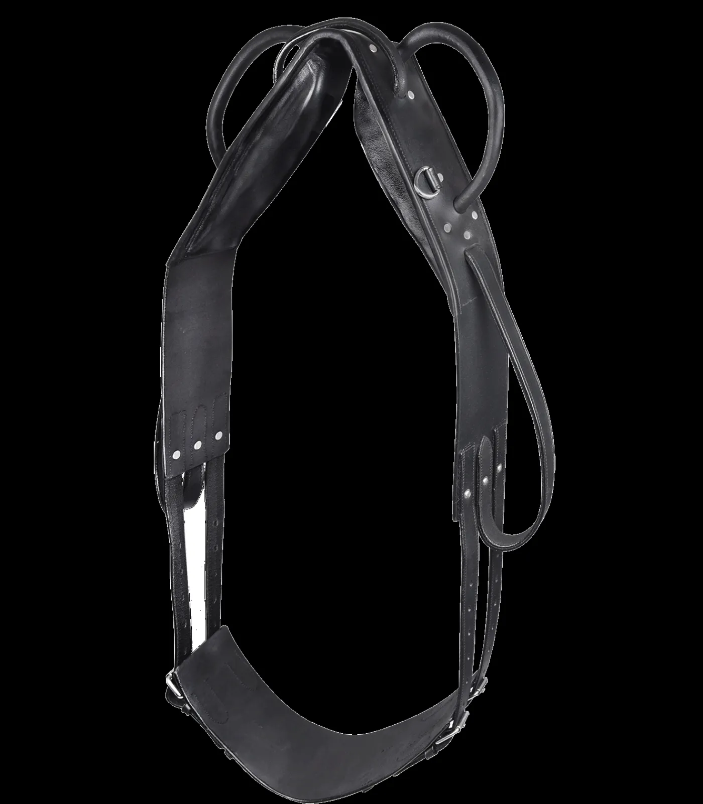 STAR Voltigieren|Pony & Shetty>Longier- und Voltigiergurt, Leder