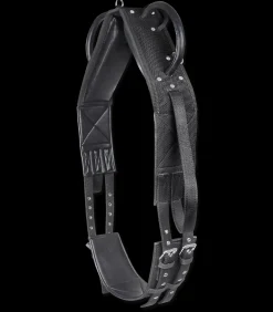 Waldhausen Voltigieren|Pony & Shetty>Longier- und Voltigiergurt, synthetik