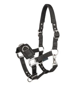 Waldhausen Pony & Shetty|Kappzäume & Longiergurte>Longierhalfter Economic