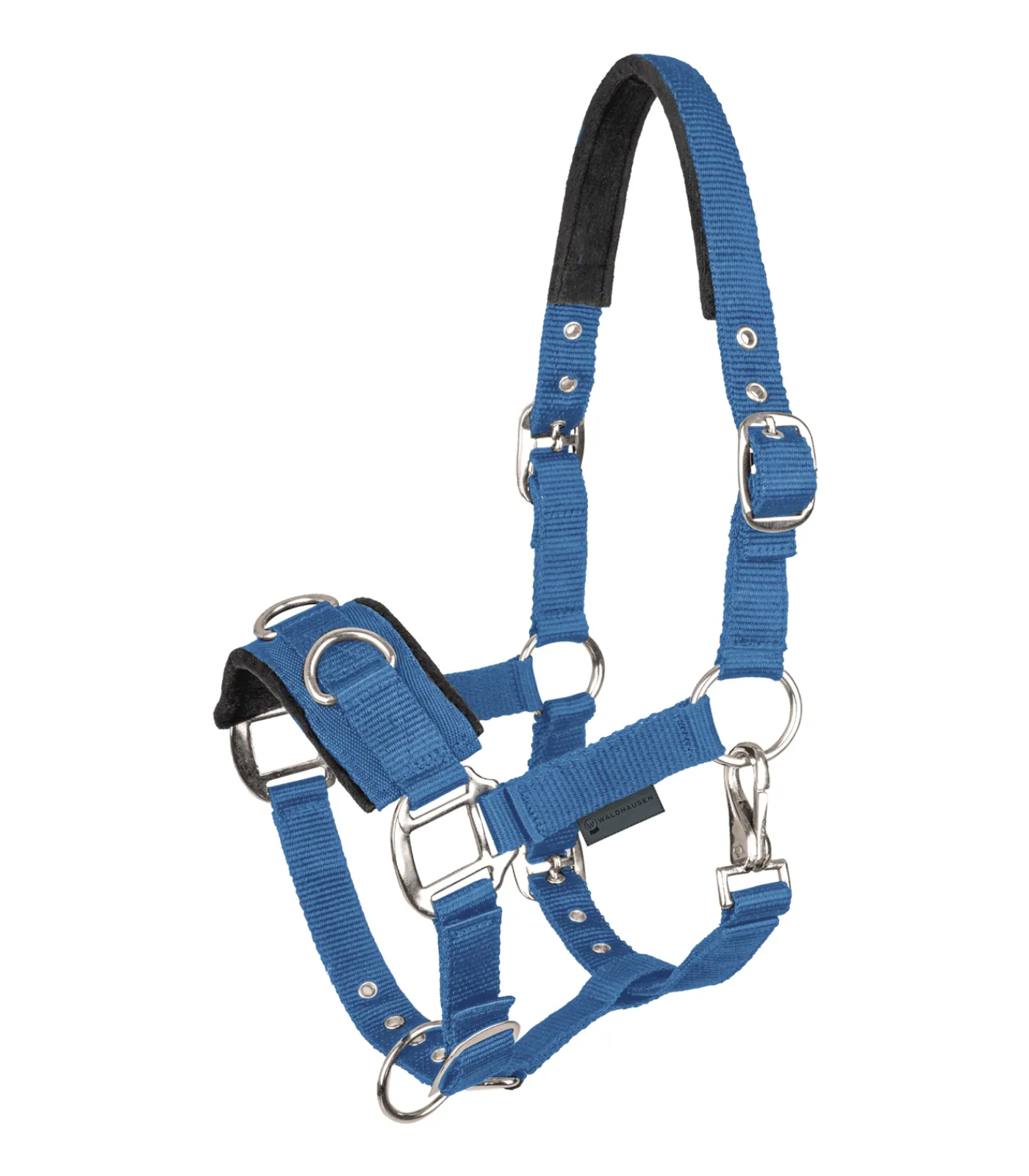 Waldhausen Pony & Shetty|Kappzäume & Longiergurte>Longierhalfter Economic