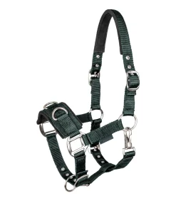 Waldhausen Pony & Shetty|Kappzäume & Longiergurte><noscript><img width=