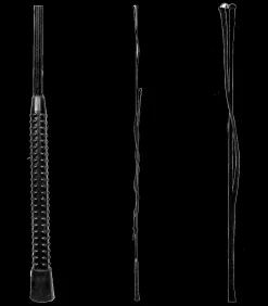 Waldhausen Peitschen & Kontaktstöcke|Peitschen></noscript>Longierpeitsche, einteilig