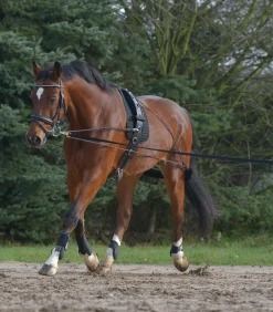 Waldhausen Longierhilfen & Ausbinder>Longiersystem