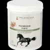 Waldhausen Ergänzungsfuttermittel|Stallapotheke>Magnesium forte - Für mehr Ausgeglichenheit, 1 kg