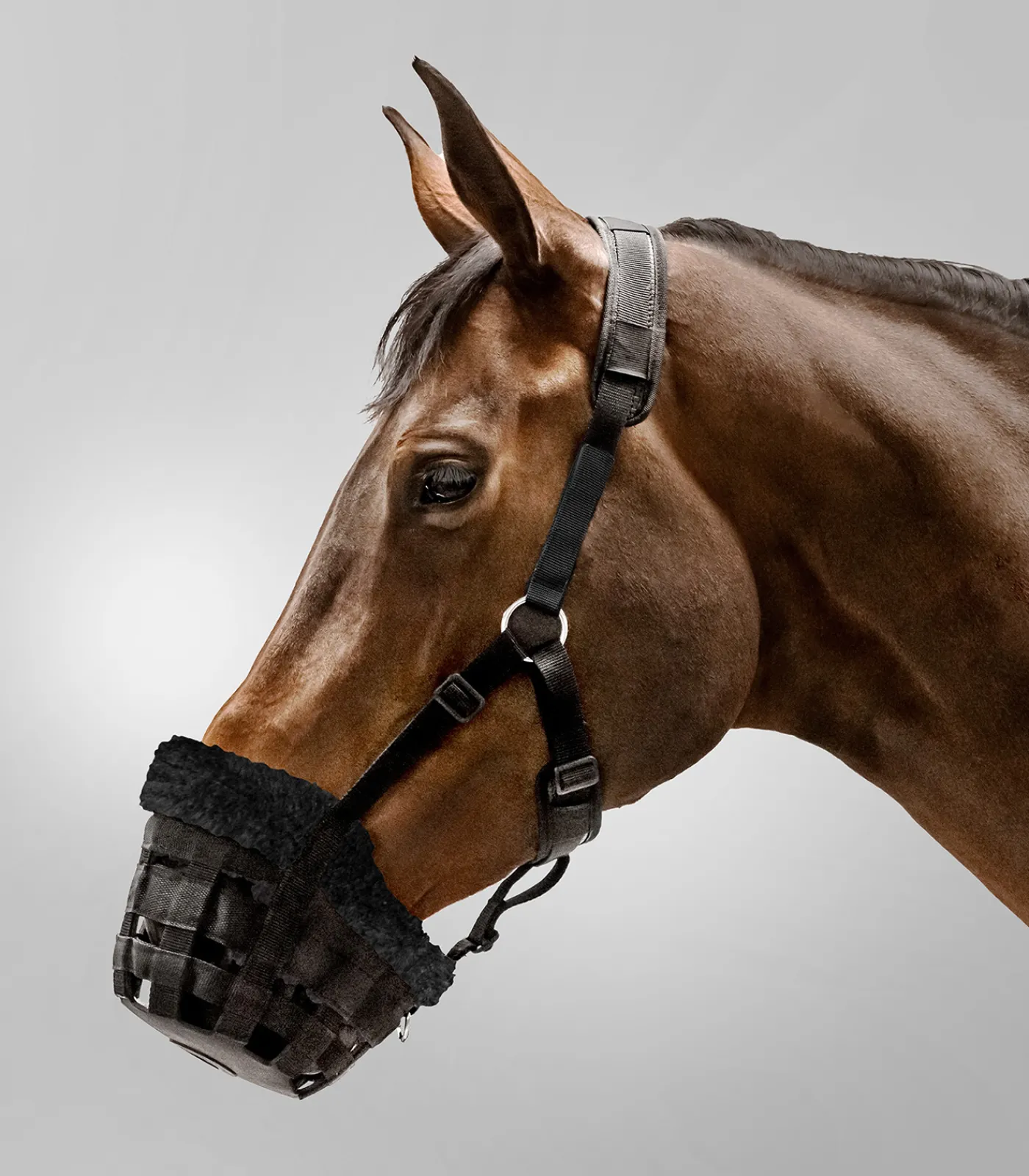 Waldhausen Weide|Fressbremsen & Kopperriemen>Maulkorb Comfort