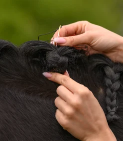 Waldhausen Turnieraccessoires & Pflege><noscript><img width=