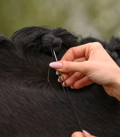 Waldhausen Turnieraccessoires & Pflege><noscript><img width=