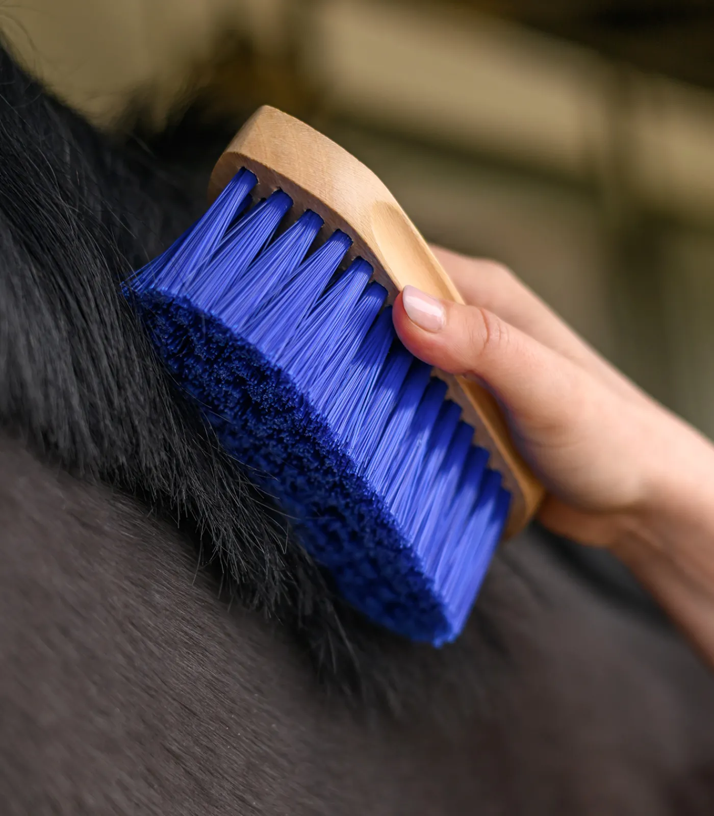 Waldhausen Mähne & Schweif|Putzzeug>Mähnenbürste