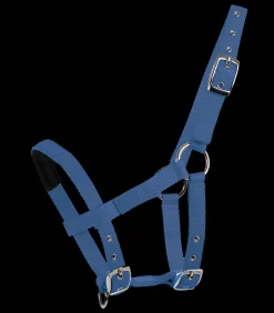 Waldhausen Fohlen|Pony & Shetty><noscript><img width=