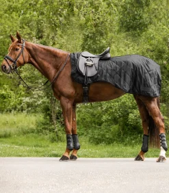 Waldhausen Pony & Shetty|Ausreit- & Führanlagendecken>Nierendecke EXCLUSIVE, 50g