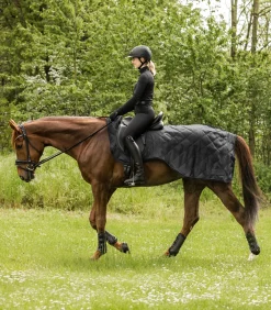 Waldhausen Pony & Shetty|Ausreit- & Führanlagendecken><noscript><img width=