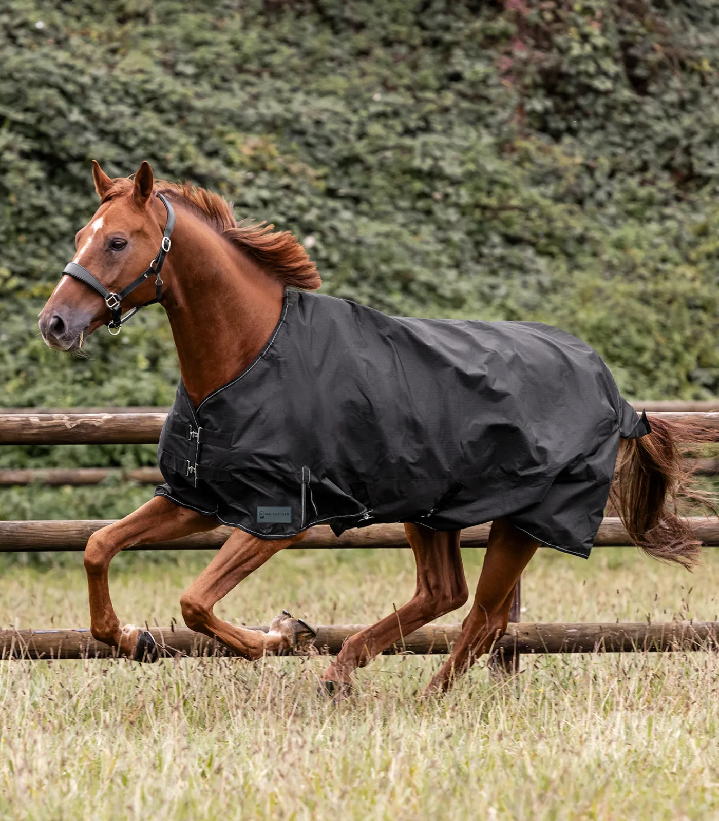Waldhausen Outdoordecken>NORDIC Outdoordecke, 300 g