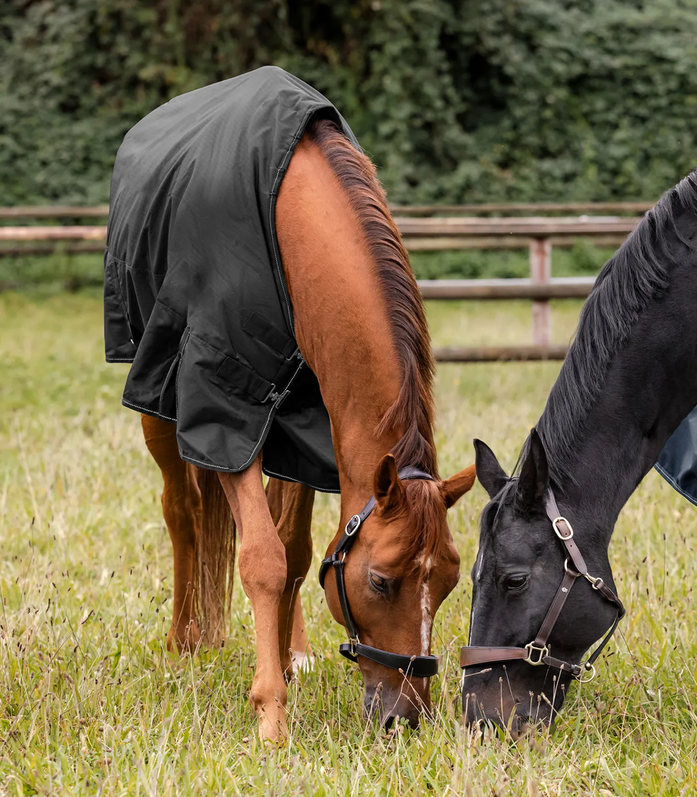 Waldhausen Outdoordecken>NORDIC Outdoordecke, Fleece