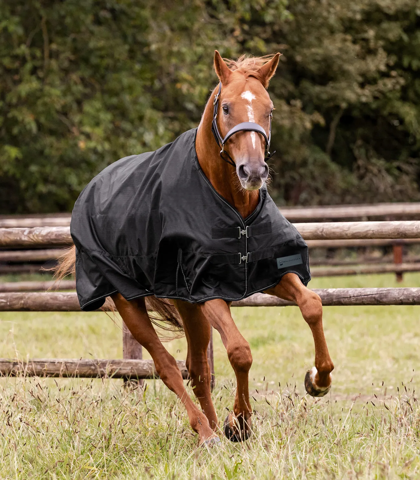 Waldhausen Outdoordecken>NORDIC Outdoordecke, Fleece