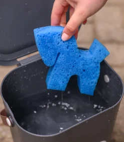 Waldhausen Pferdewäsche><noscript><img width=