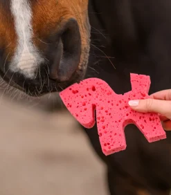 Waldhausen Pferdewäsche><noscript><img width=