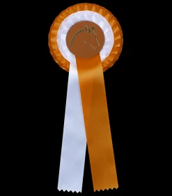 Waldhausen Turnieraccessoires & Pflege></noscript>Preisschleife mit Doppelrosette