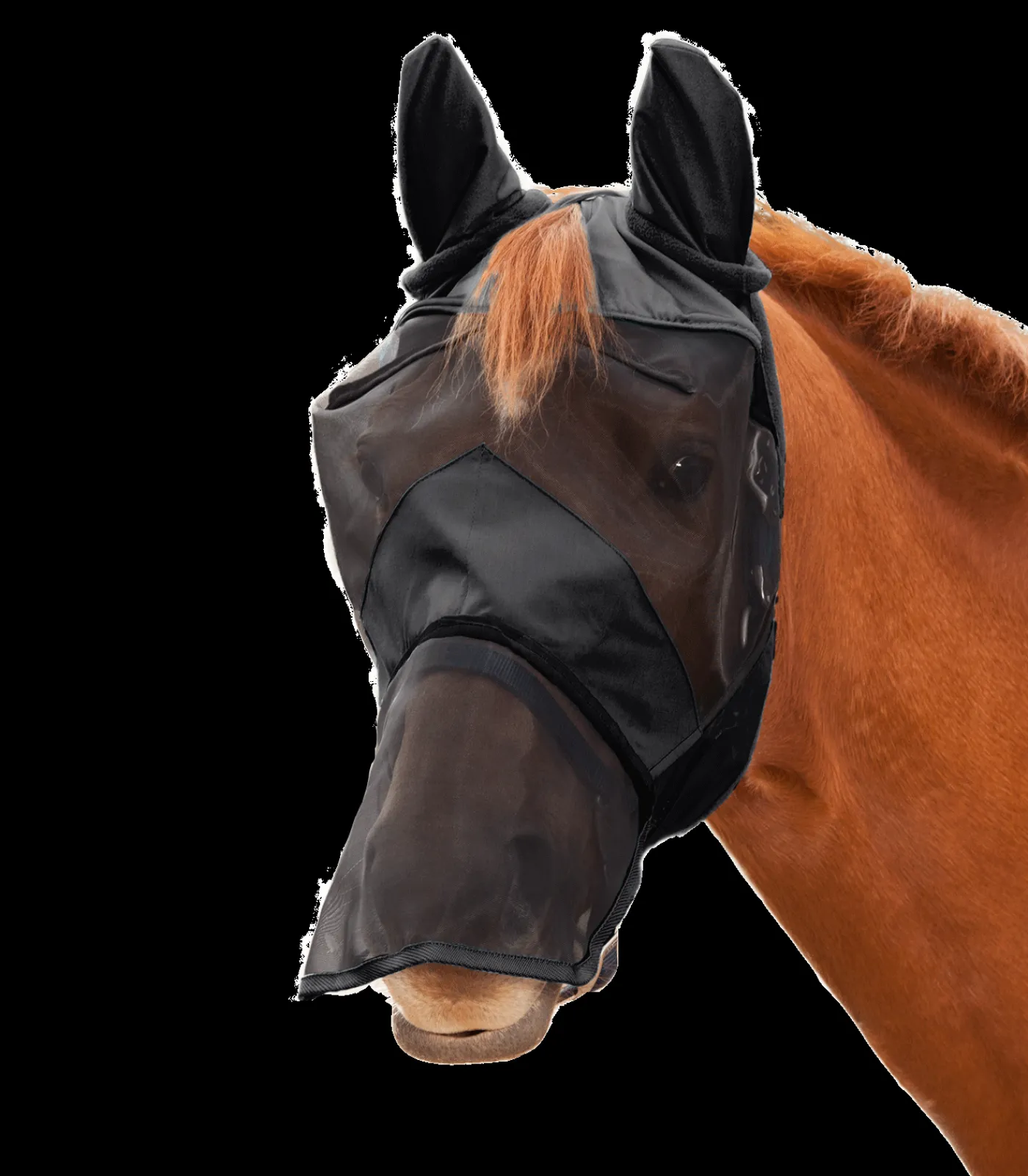 Waldhausen Pony & Shetty|Fliegenmasken Und -Fransen>PREMIUM Fliegenmaske 3 in 1