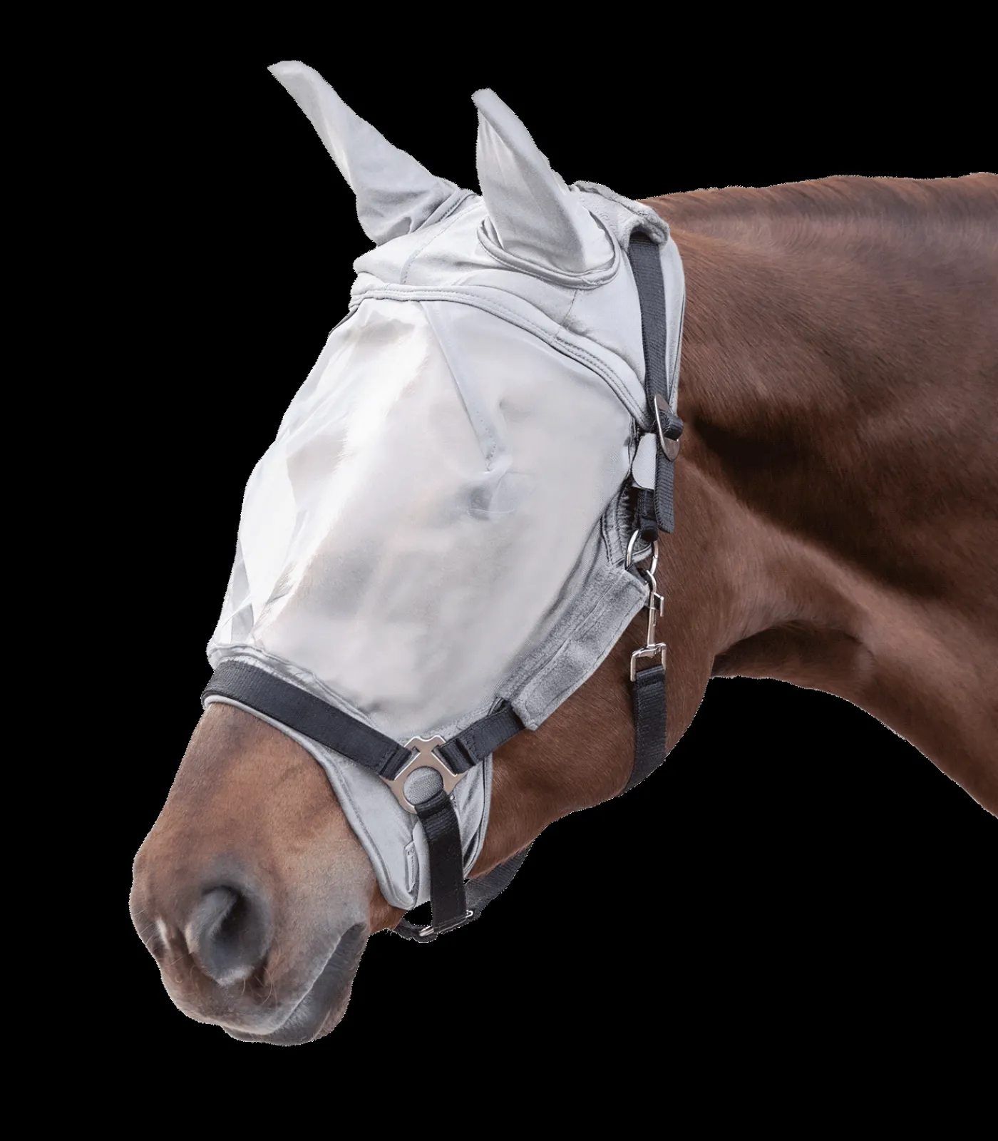 Waldhausen Pony & Shetty|Fliegenmasken Und -Fransen>PREMIUM Fliegenmaske f. Halfter, mit Ohrenschutz