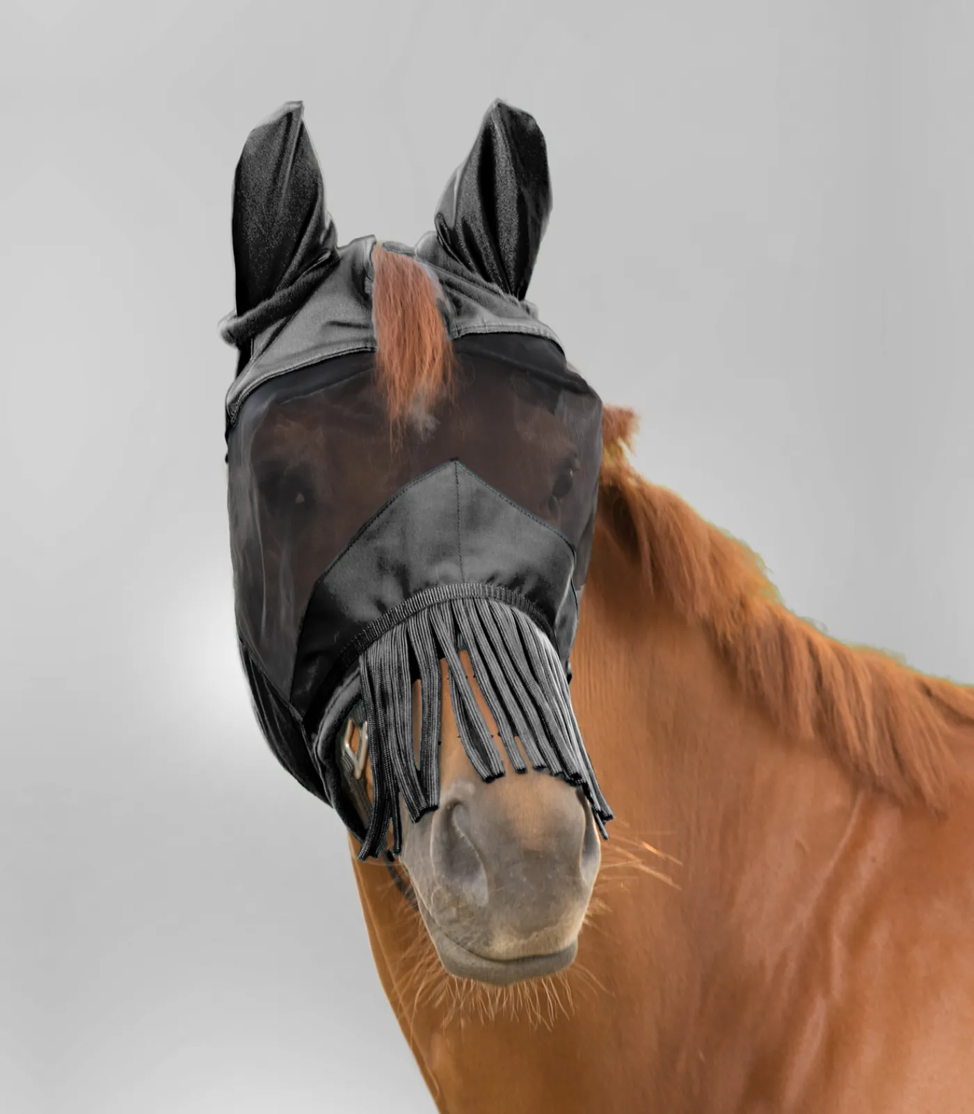 Waldhausen Pony & Shetty|Fliegenmasken Und -Fransen>PREMIUM Fliegenmaske mit Ohrenschutz und Nasenfransen