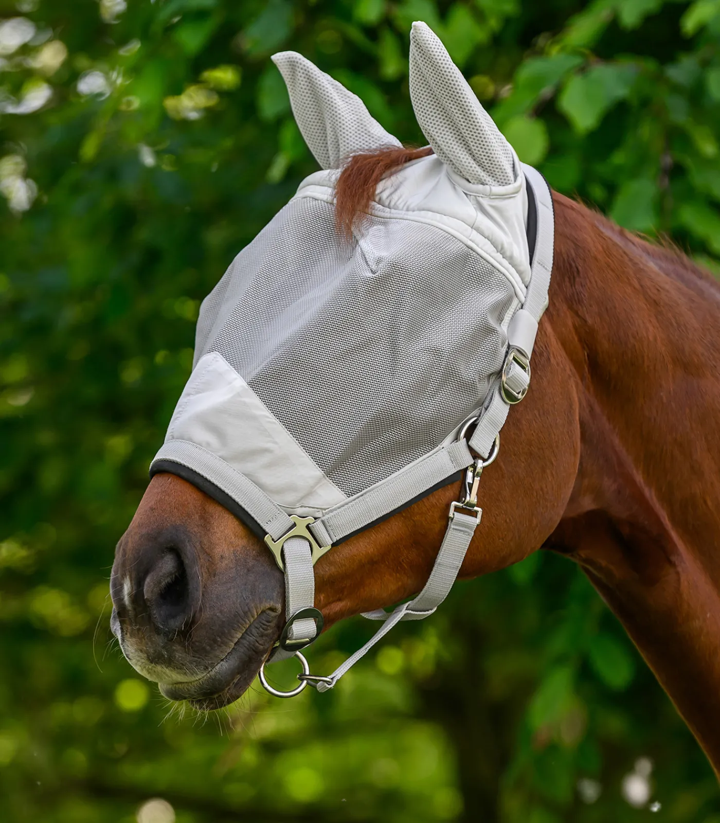 Waldhausen Fliegenmasken Und -Fransen|Halfter>PREMIUM Fliegenmaske mit Halfter
