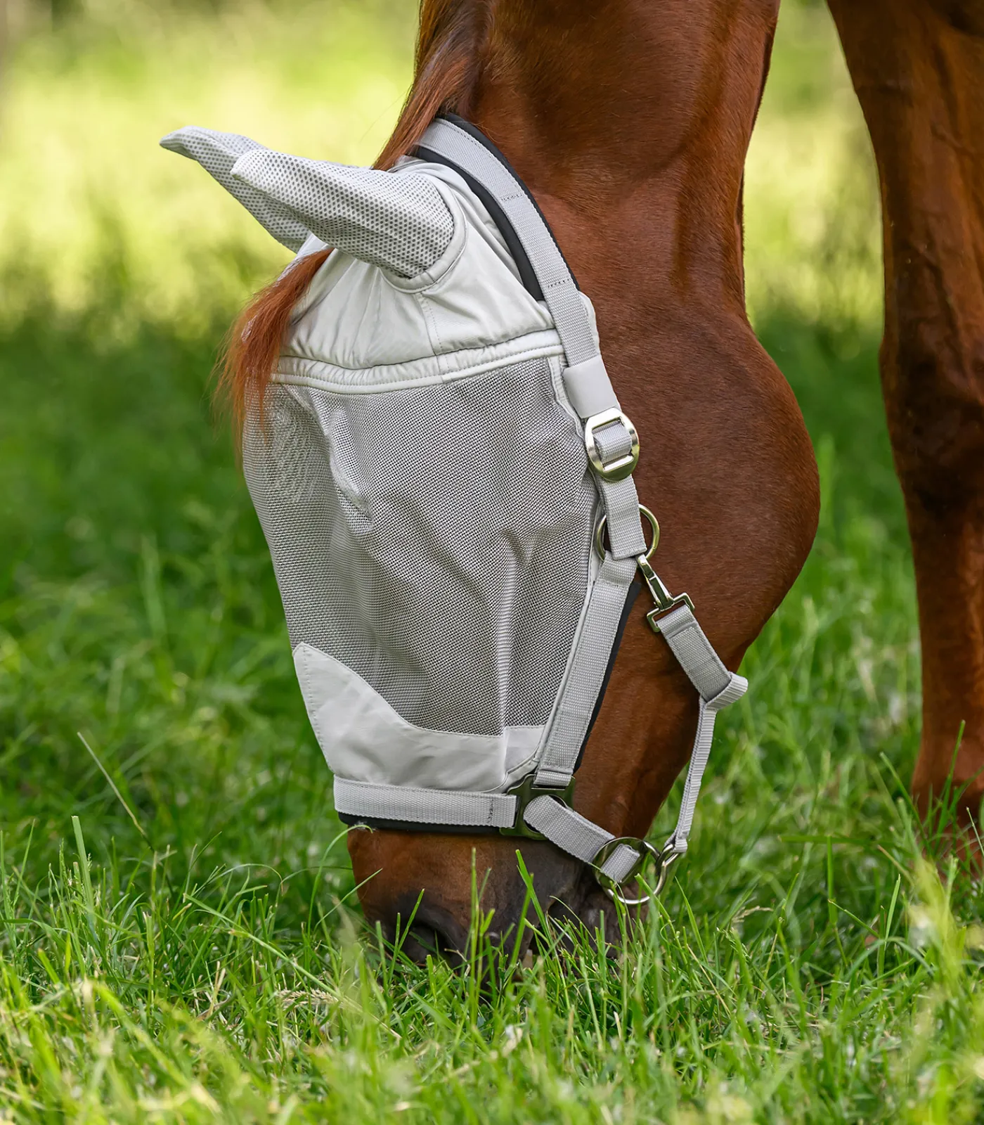 Waldhausen Fliegenmasken Und -Fransen|Halfter>PREMIUM Fliegenmaske mit Halfter