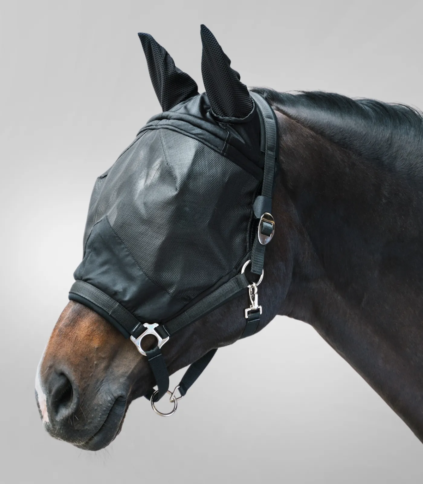 Waldhausen Fliegenmasken Und -Fransen|Halfter>PREMIUM Fliegenmaske mit Halfter