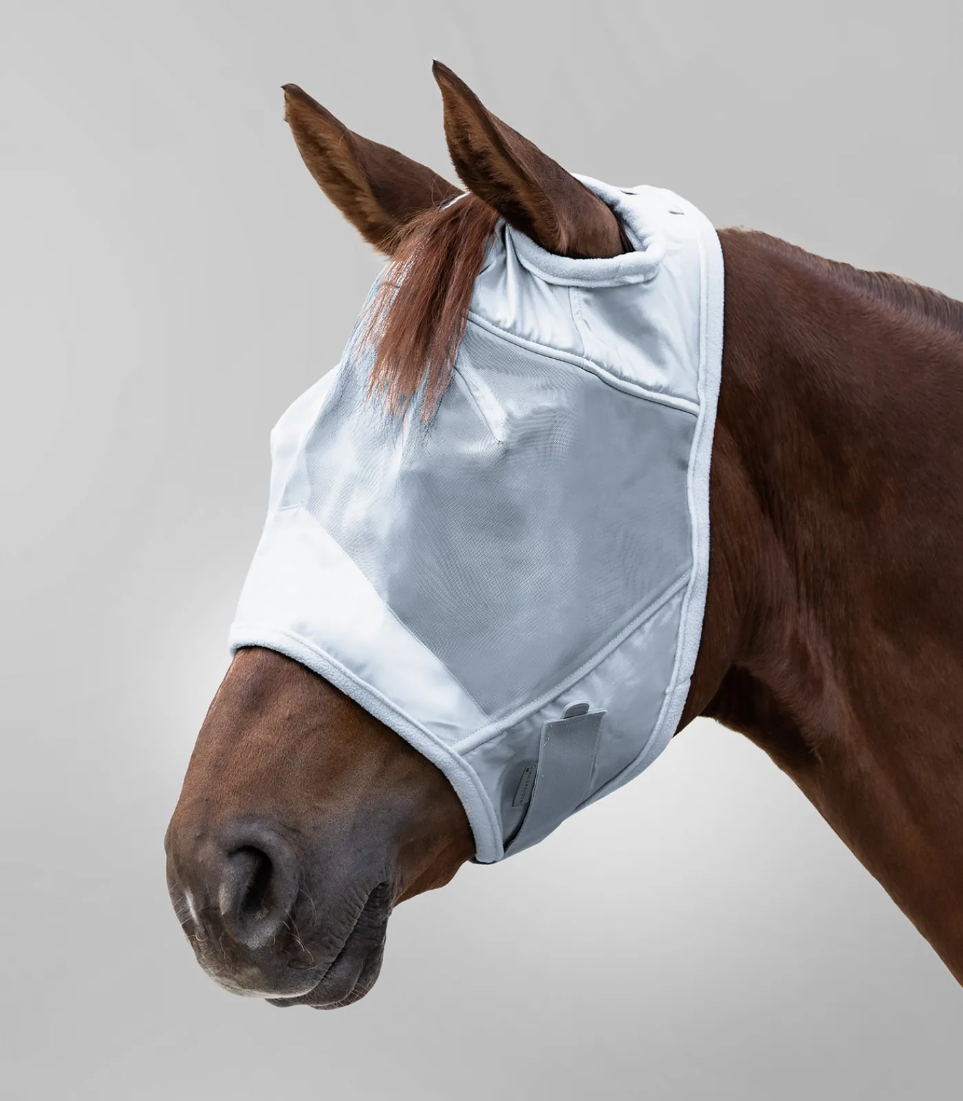 Waldhausen Pony & Shetty|Fliegenmasken Und -Fransen>PREMIUM Fliegenmaske ohne Ohrenschutz