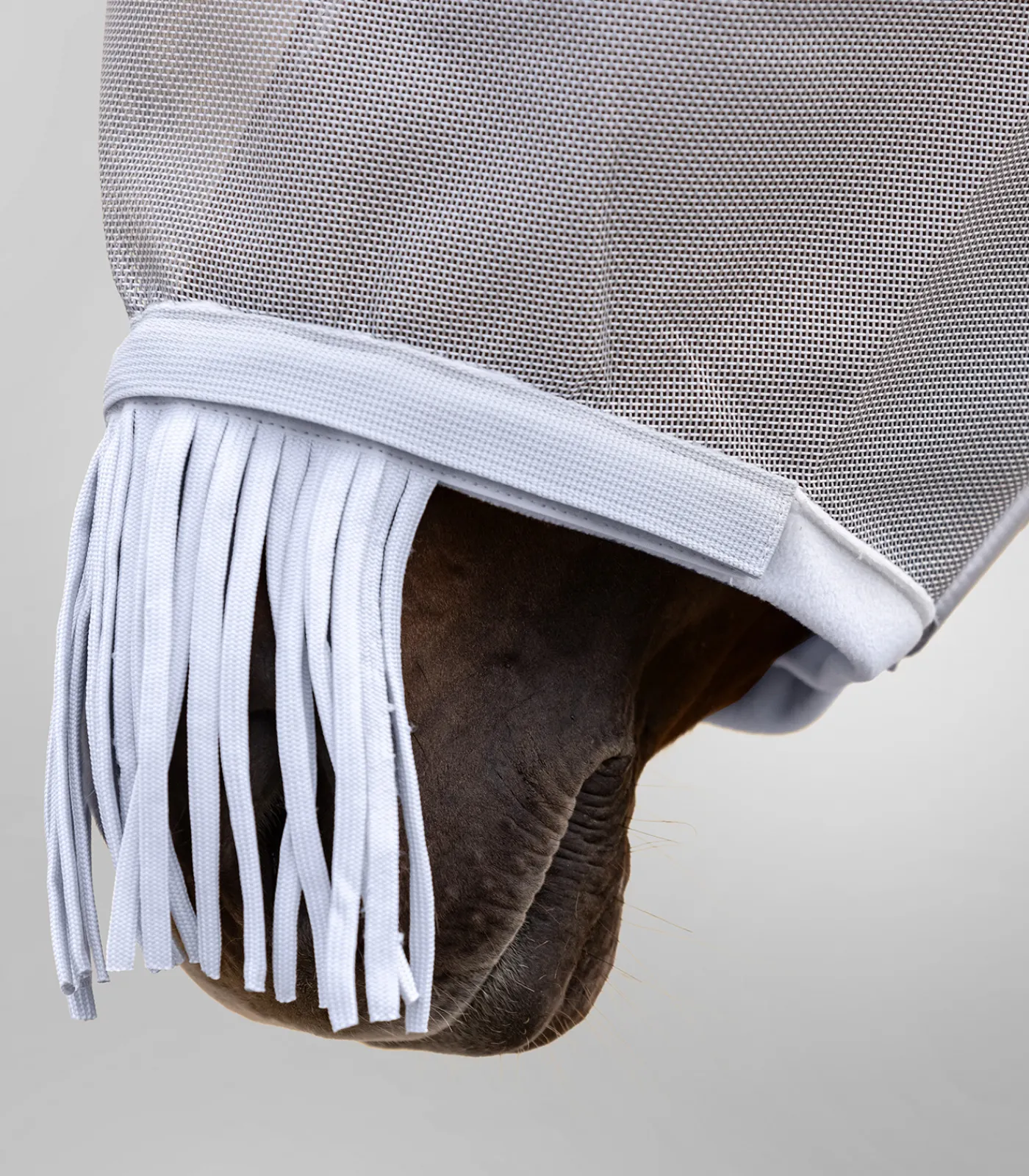 Waldhausen Pony & Shetty|Fliegenmasken Und -Fransen>PREMIUM Fliegenmaske Space, mit Ohren- und Nasenschutz