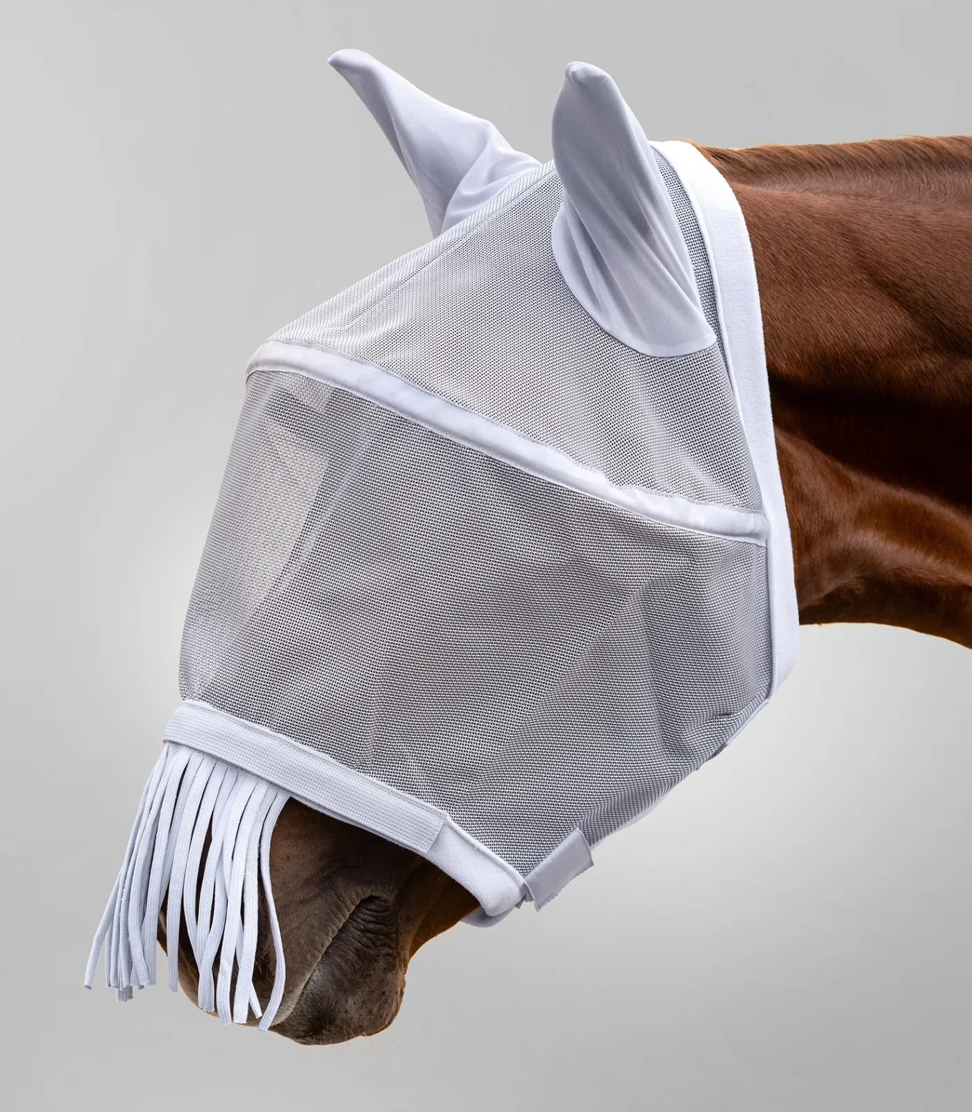 Waldhausen Pony & Shetty|Fliegenmasken Und -Fransen>PREMIUM Fliegenmaske Space, mit Ohren- und Nasenschutz