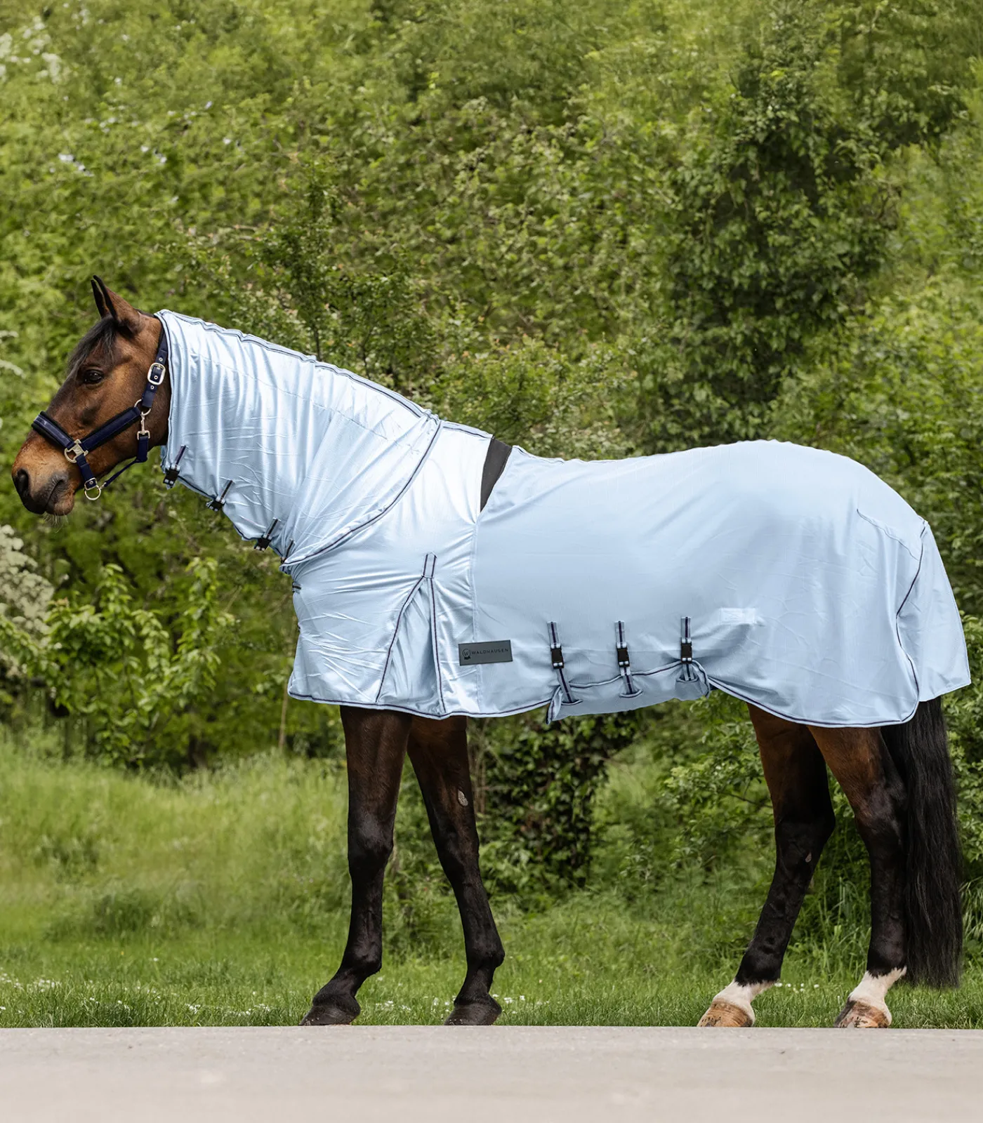 Waldhausen Pony & Shetty|Fliegen- & Ekzemerdecken>PROTECT Ekzemer-Fliegendecke