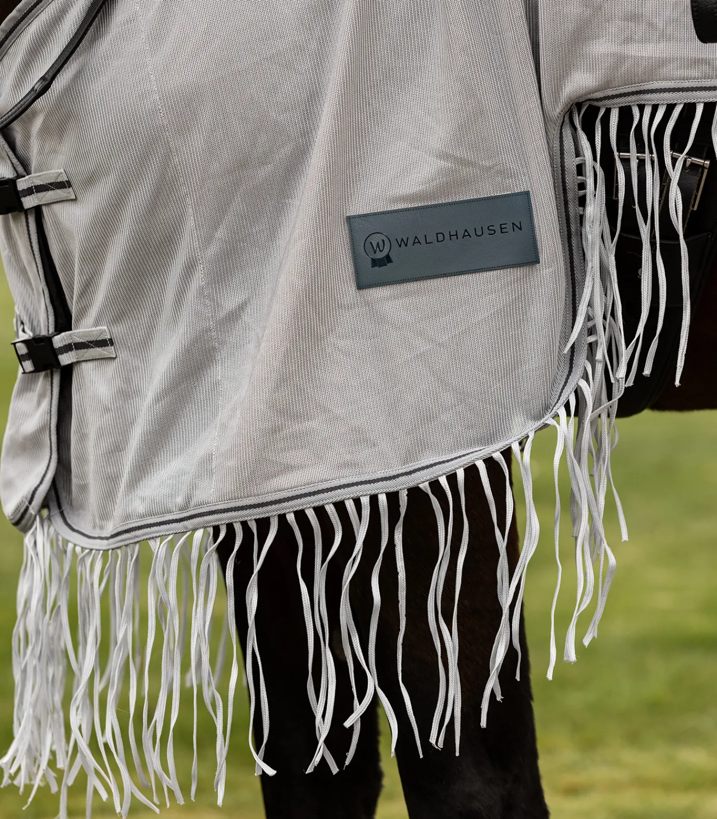 Waldhausen Fliegen- & Ekzemerdecken|Fliegendecken>PROTECT Fliegenausreitdecke mit Fransen