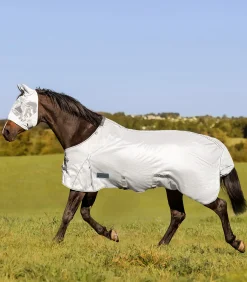 Waldhausen Pony & Shetty|Fliegen- & Ekzemerdecken><noscript><img width=