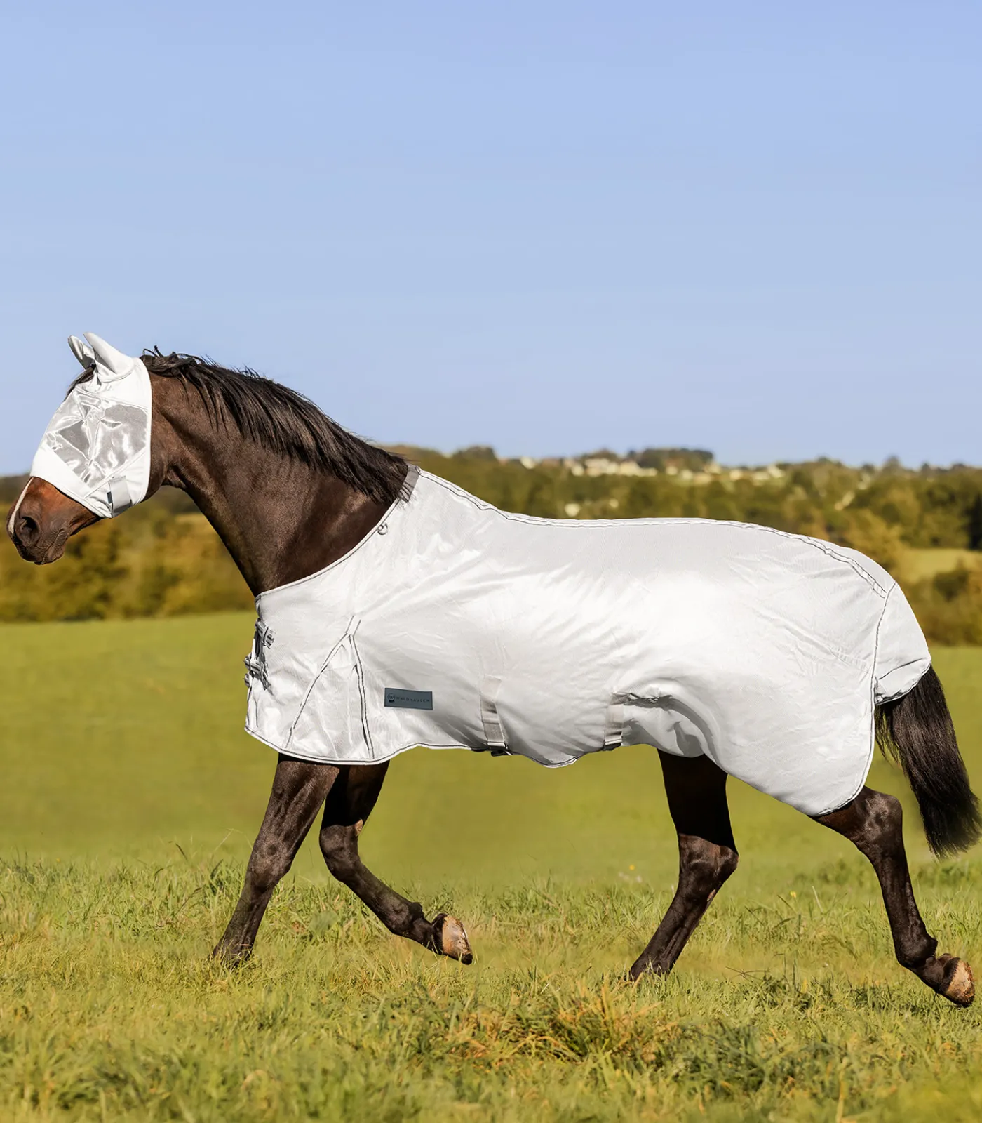 Waldhausen Pony & Shetty|Fliegen- & Ekzemerdecken>PROTECT Fliegendecke
