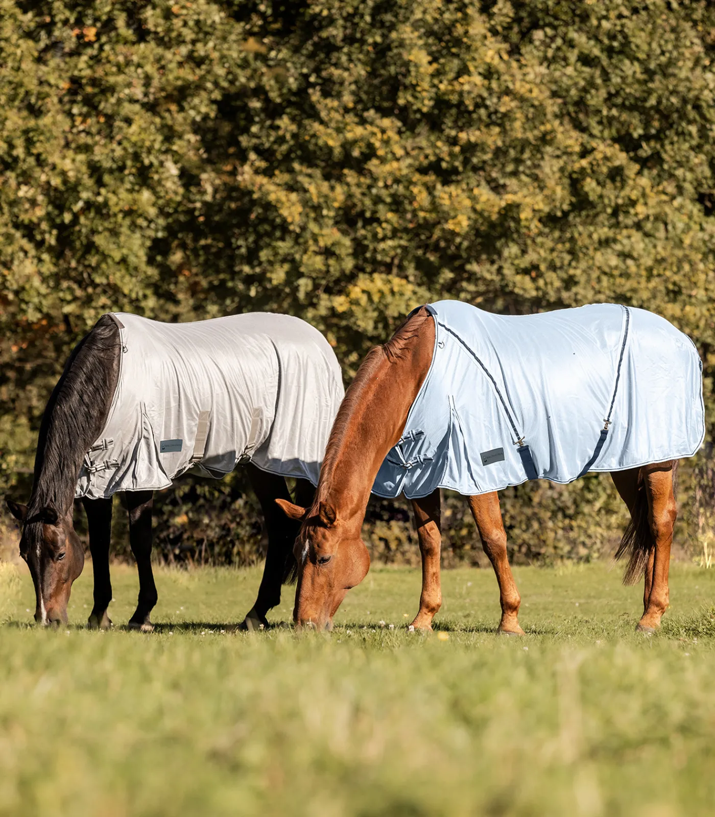 Waldhausen Pony & Shetty|Fliegen- & Ekzemerdecken>PROTECT Fliegendecke