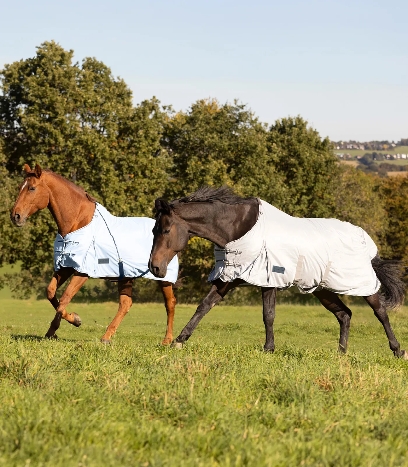 Waldhausen Pony & Shetty|Fliegen- & Ekzemerdecken>PROTECT Fliegendecke