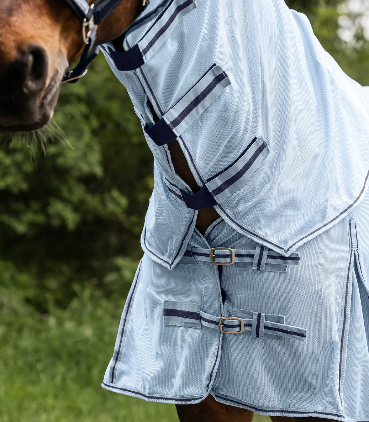 Waldhausen Fliegen- & Ekzemerdecken|Fliegendecken>PROTECT Fliegen-Halsdecke