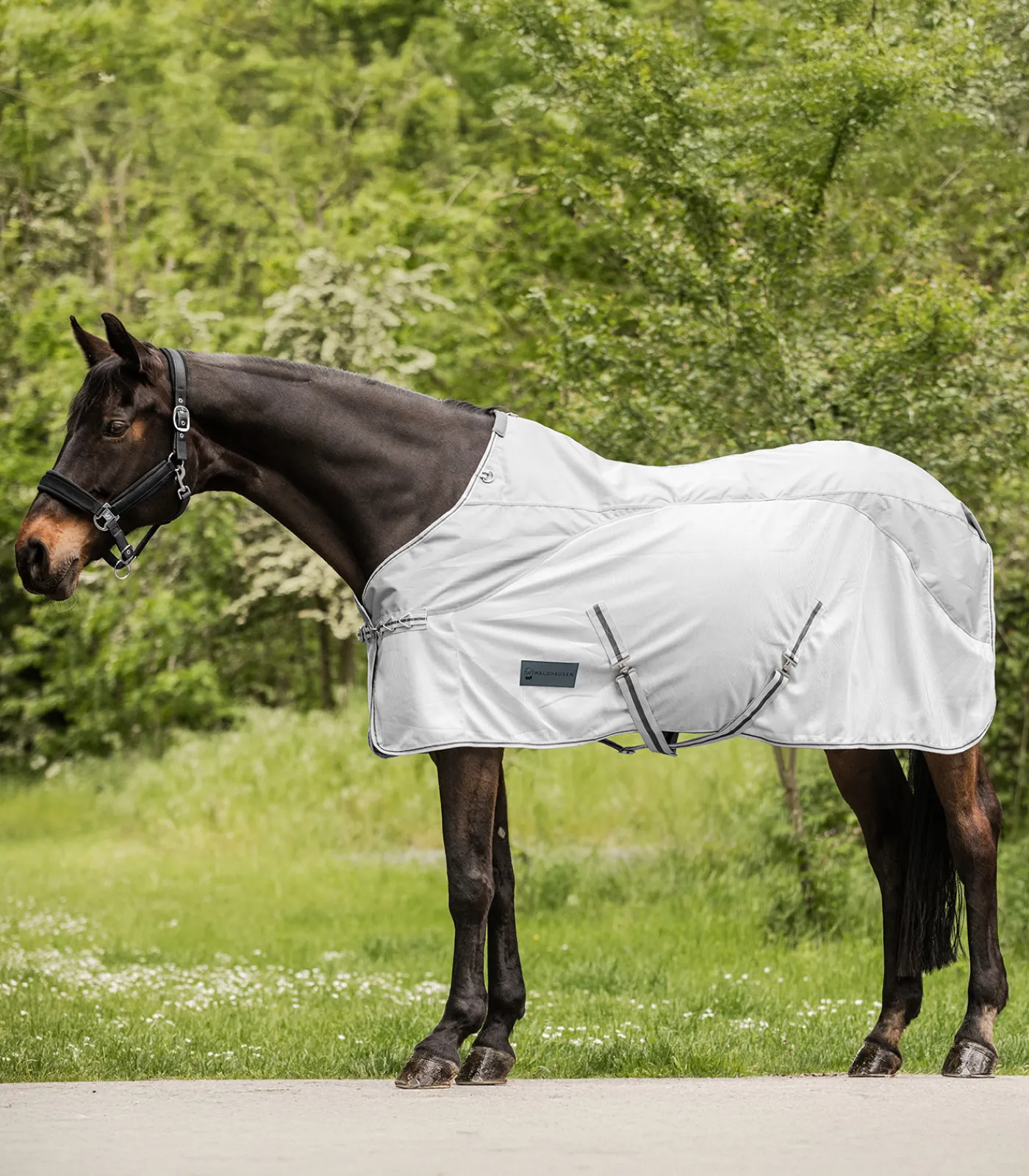 Waldhausen Fliegen- & Ekzemerdecken|Fliegendecken>PROTECT Regen-Fliegendecke