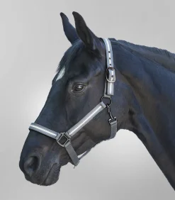 Waldhausen Pony & Shetty|Reflexprodukte>REFLEX  Halfter Stripe
