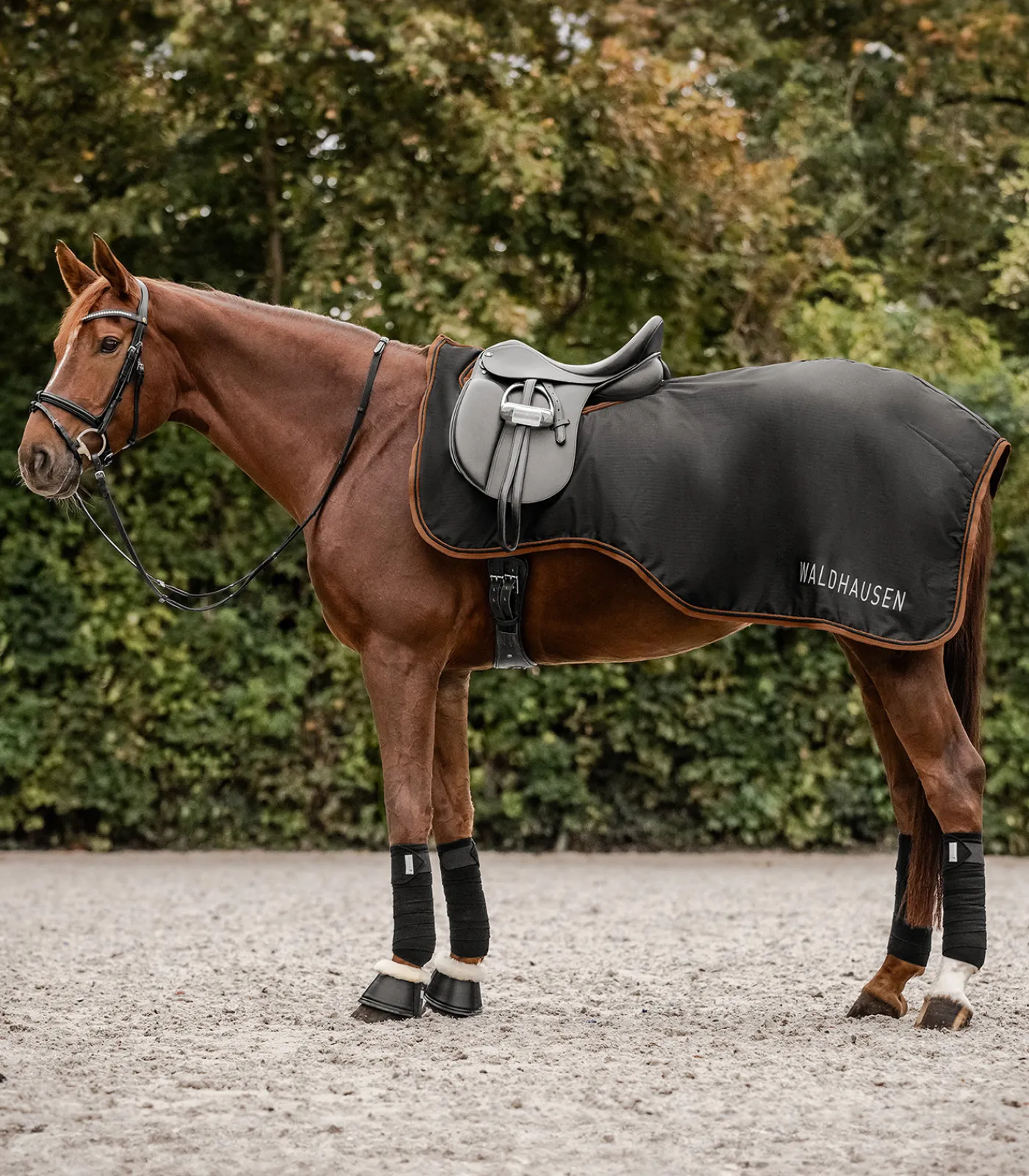 Waldhausen Ausreit- & Führanlagendecken>Regen Ausreitdecke Perth