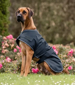 Waldhausen Hundebedarf></noscript>Regen-Hundedecke