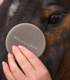 Waldhausen Lederpflege|Pferdewäsche>Runder Pflegeschwamm soft