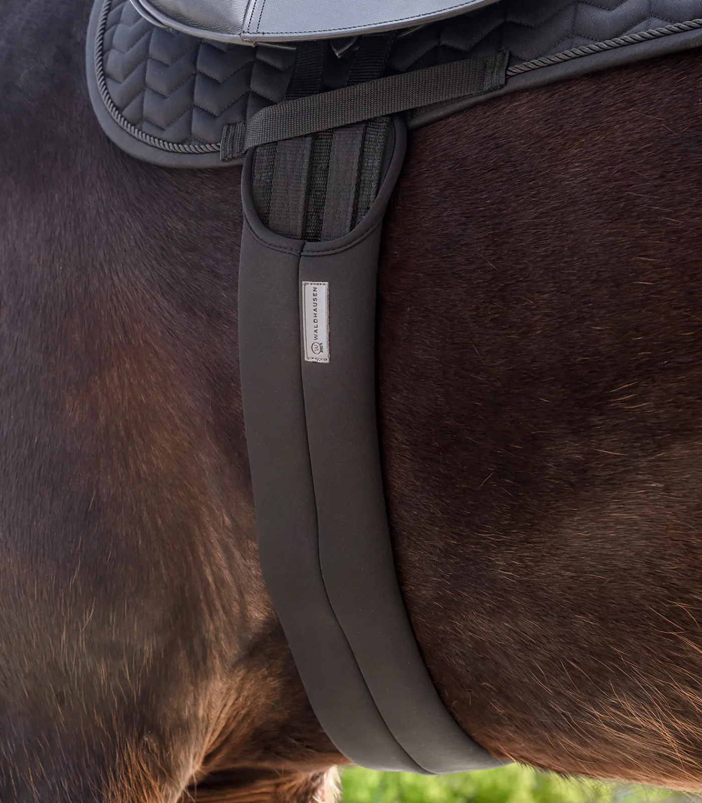 Waldhausen Sattelgurte>Sattelgurt