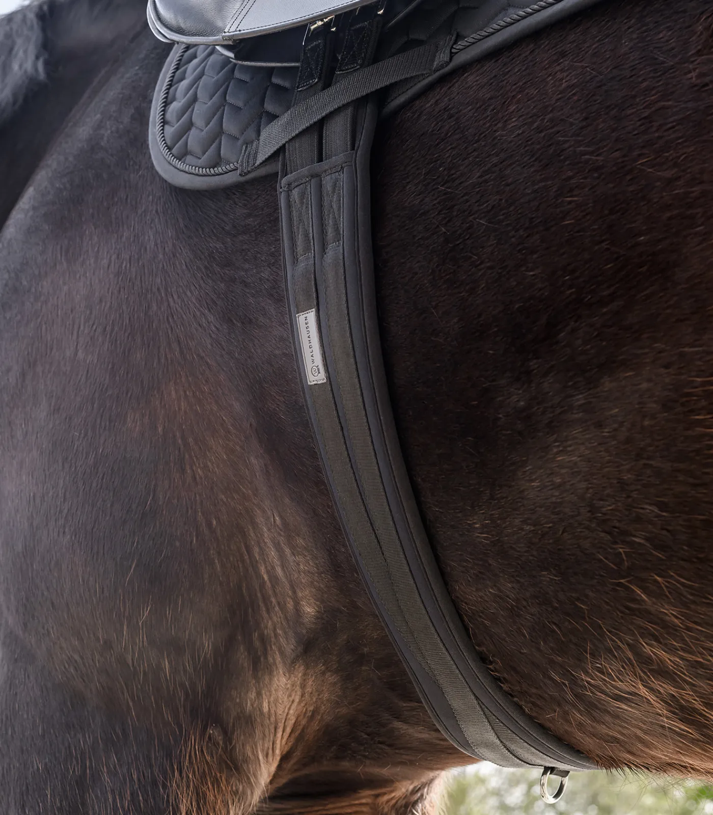 Waldhausen Sattelgurte>Sattelgurt Memory Foam