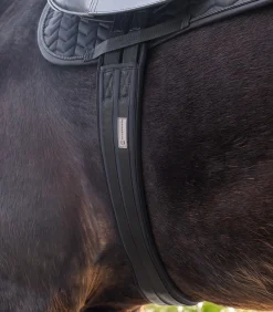 Waldhausen Sattelgurte><noscript><img width=