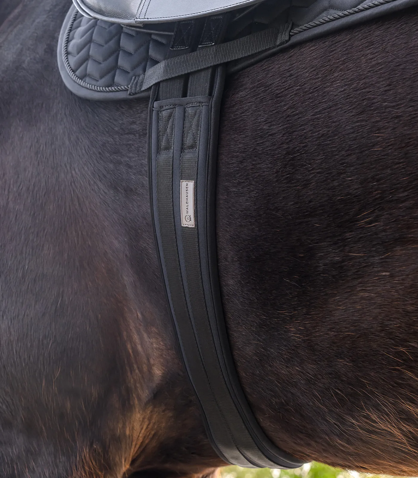 Waldhausen Sattelgurte>Sattelgurt mit Gel